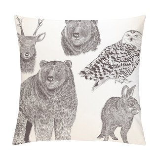 Personality  Collection Of High Detailed Vector Animals For Design Pillow Covers