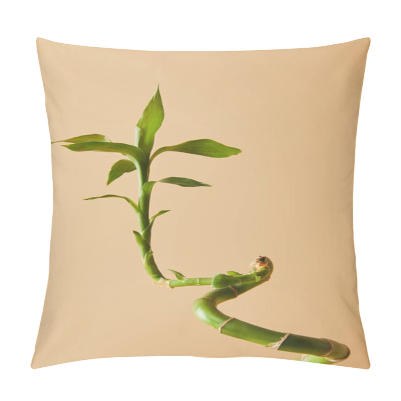 Personality  bamboo stem with leaves on beige background pillow covers