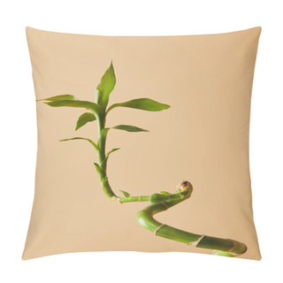 Personality  Bamboo Stem With Leaves On Beige Background Pillow Covers