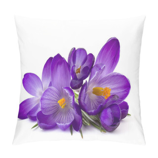 Personality  Crocus - One Of The First Spring Flowers On White Background Pillow Covers
