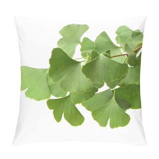 Personality  Ginkgo Biloba Fresh Leaves On White Background Pillow Covers