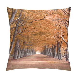 Personality  Fall Autumn Forrest Woods With Trees Background With Perspective Walking Path Road Pillow Covers