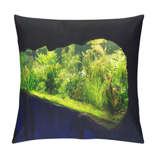 Personality  Small Fishes Swimming Under Water Among Green Seaweed In Aquarium Pillow Covers