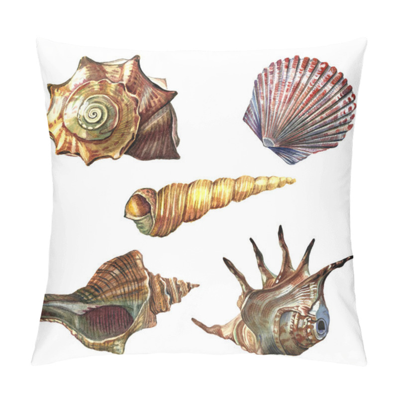 Personality  A collection of sea shells painted with watercolor.  pillow covers