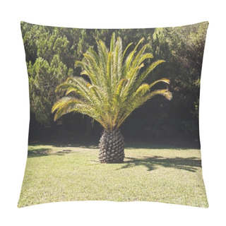 Personality   Huge Date Palm On Green Lawn Pillow Covers