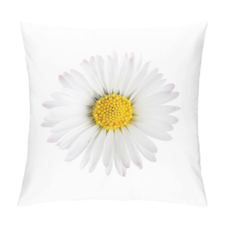 Personality  White Daisy Flower  Pillow Covers