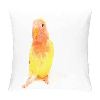 Personality  Love Bird In Front Of A White Background Pillow Covers