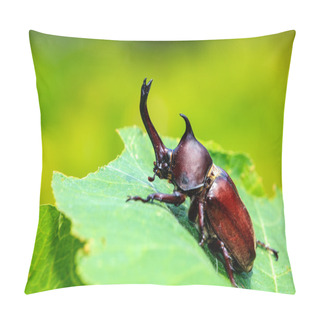 Personality  Rhinoceros Beetle, Rhino Beetle, Hercules Beetle, Unicorn Beetle Pillow Covers
