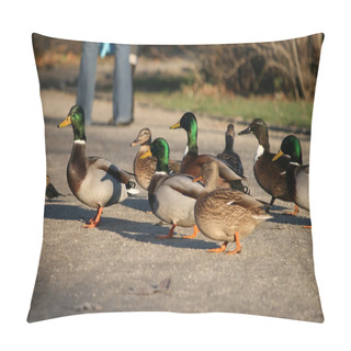 Personality  Group Of Ducks Pillow Covers