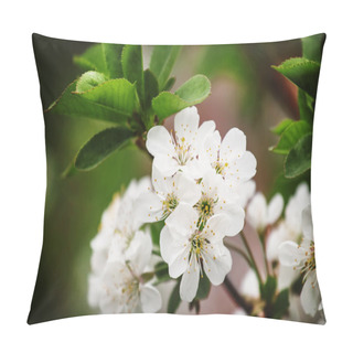 Personality  Spring Blooming Cherry  Pillow Covers