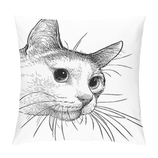 Personality  A Domestic Cat Watches Pillow Covers