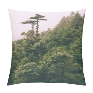 Personality  Beautiful Green Trees Growing In Indian Himalayas, Dharamsala, Baksu Pillow Covers