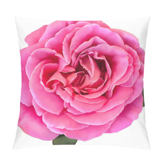 Personality  Pink Rose Flower Isolated On White Background. Vector Illustration Pillow Covers
