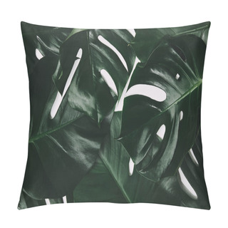 Personality  Full Frame Shot Of Green Monstera Leaves Isolated On White Pillow Covers