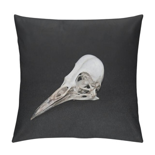 Personality  A Skull Of The Picinae Bird Pillow Covers