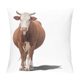 Personality  Cow Isolated On White Pillow Covers