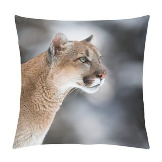 Personality  Cougar, Mountain Lion, Puma, Panther Pillow Covers