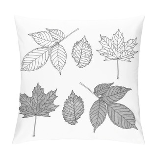 Personality  Set Of Leaves Of Different Trees. Ash, Maple, Elm Leaves In Veined Line Graphic On White Background. Pillow Covers