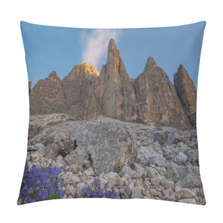Personality Massive Mountain Peaks In South Tyrol With Wild Flowers At Sunrise Pillow Covers