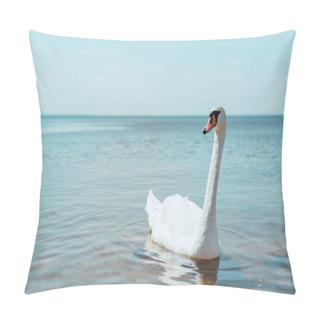 Personality  White Swan Swimming On River At Sunny Day Pillow Covers