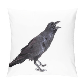Personality  Common Raven Isolated On White Pillow Covers