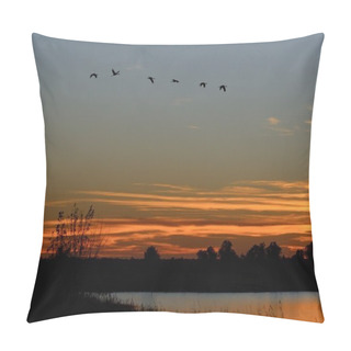 Personality  Silhouettes Of Sandhill Cranes Flying At Sunset Pillow Covers