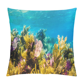 Personality  Coral Reef Scenics Pillow Covers