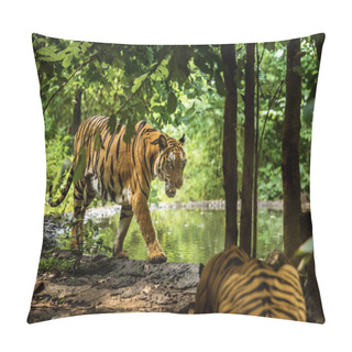 Personality  Asian Tiger In Tropical Forest Pillow Covers