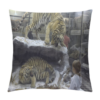 Personality  Russia, St. Petersburg 27.03.2020 Stuffed Animals - An Exhibit Of The Zoological Museum Pillow Covers