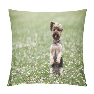 Personality  Cute Dog Pillow Covers