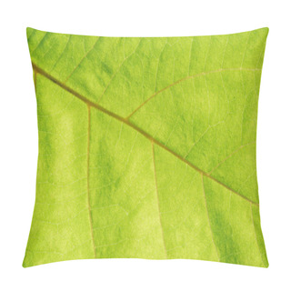 Personality  Close Up View Of Green Leaf Veins Pillow Covers