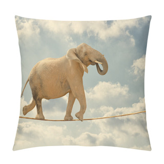 Personality  Elephant Walking On Rope Pillow Covers