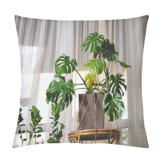 Personality  Monstera Plant In A Pot In The Interior Pillow Covers