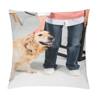 Personality  Cropped View Of Woman Stroking Cute Golden Retriever In Office  Pillow Covers