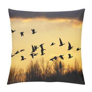 Personality  Snow Geese At Sunset Pillow Covers