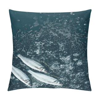 Personality  Top View Of Healthy Uncooked Sea Bass Fish With Ice On Black  Pillow Covers