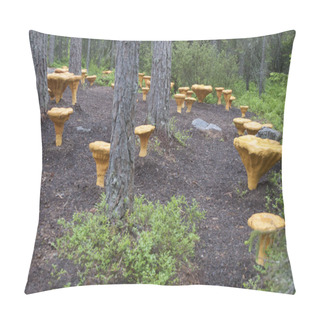 Personality  Golden Chanterelle-shaped Stools In The Enchanted Forest (Trolska Skogen) In Jattendal, Halsingland, Sweden In The Autumn 2017 Pillow Covers
