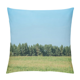 Personality  Green Field, Forest And Blue Sky At Countryside Pillow Covers