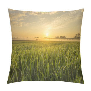 Personality  Summer Fields, Ripening Grain Crop Fields In Germany Pillow Covers