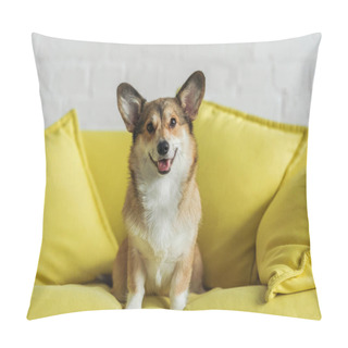 Personality  Cute Corgi Dog Sitting On Yellow Couch At Home And Looking At Camera Pillow Covers