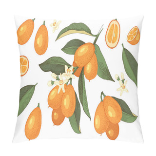 Personality  Hand Drawn Colorful Set Of Kumquat Pillow Covers