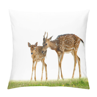 Personality  Young Axis Deers Pillow Covers