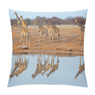 Personality  Giraffe Herd At Waterhole Pillow Covers