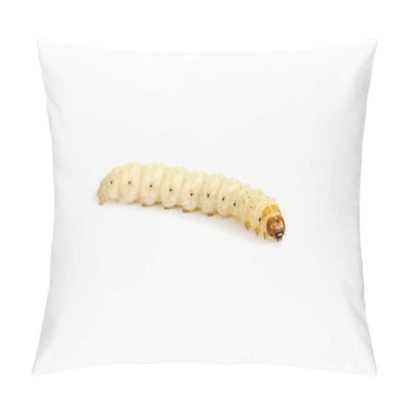 Personality  Bamboo Worm , Pillow Covers