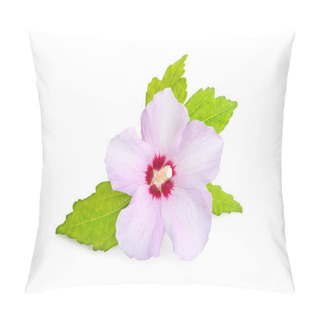 Personality  Pink Or Purple Rose Of Sharon Flower Isolated On White Background. Hibiscus Syriacus L. Pillow Covers