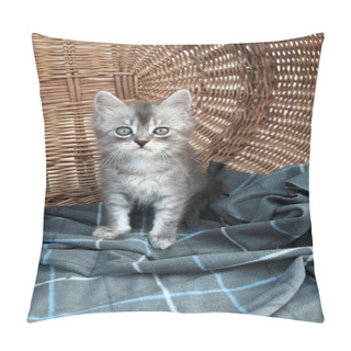 Personality  Touching Little Grey Kitten, British Cat Feline Young Pillow Covers