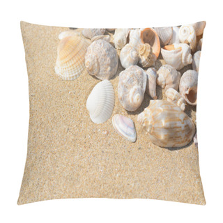 Personality  Many Beautiful Sea Shells On Sand, Closeup. Space For Text Pillow Covers