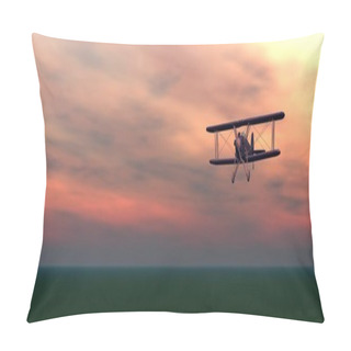 Personality  Biplan By Sunset Pillow Covers