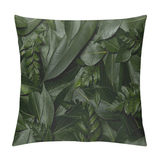 Personality  Green Fresh Leaves Background With Copy Space Pillow Covers