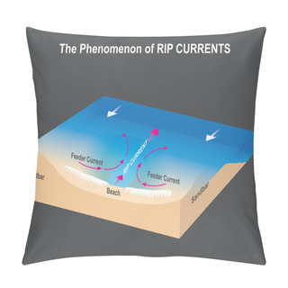 Personality  The Phenomenon Of RIP CURRENTS. Sea And Beach Figure For Explain The Dangerous Phenomenal Of RIP CURRENTS. Pillow Covers